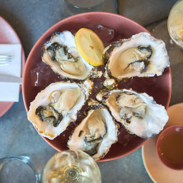 Instagram post from Matriarca